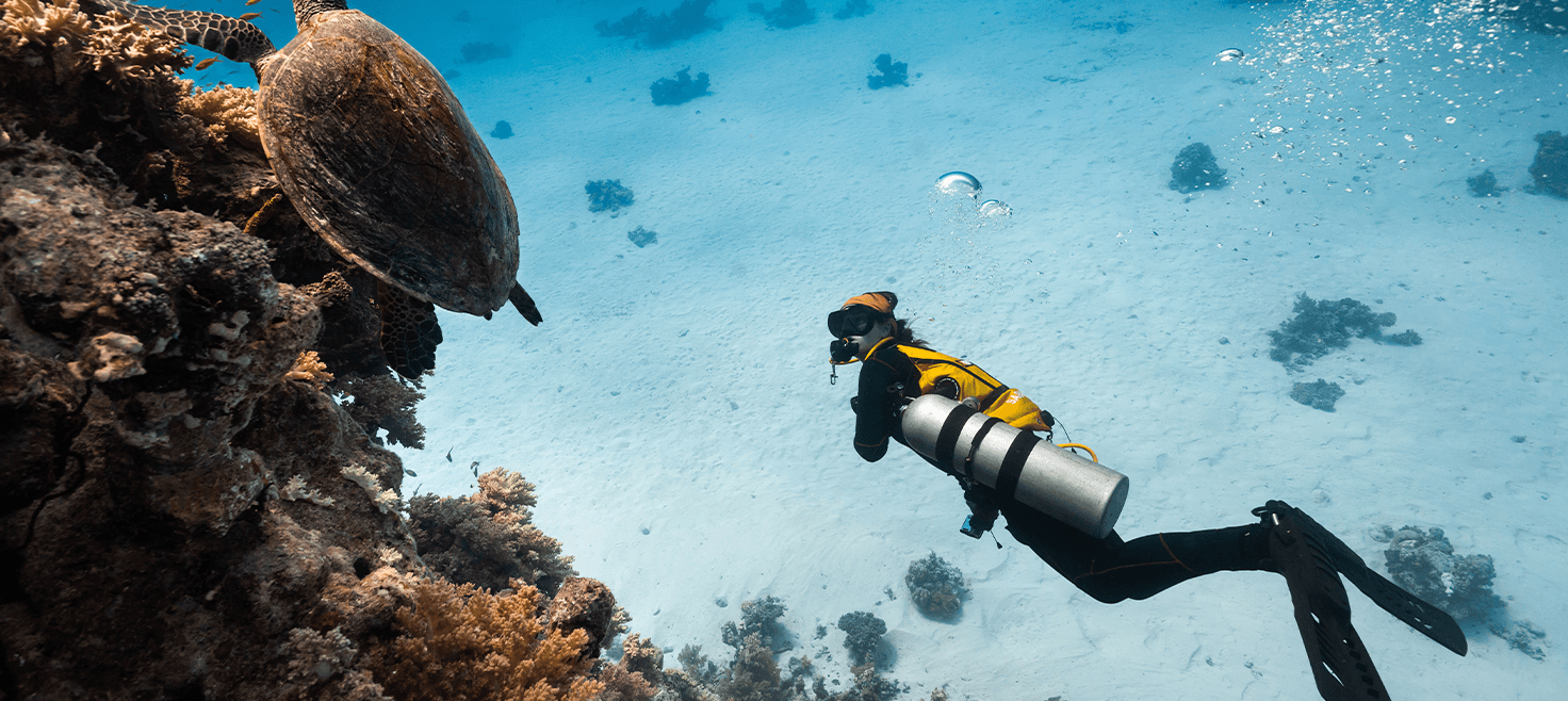 sarah dahl-cover.png